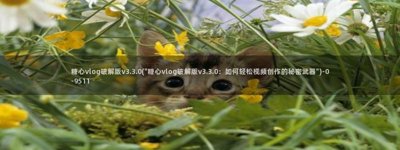 糖心官网版