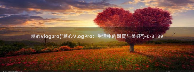 糖心中国：糖心vlogpro(\