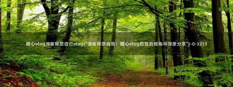 糖心volg在线：糖心vlog深夜释放自己vlog(\