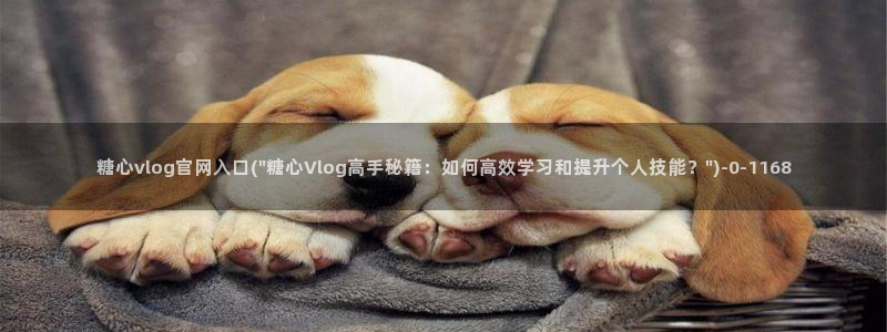 糖心 官网：糖心vlog官网入口(\