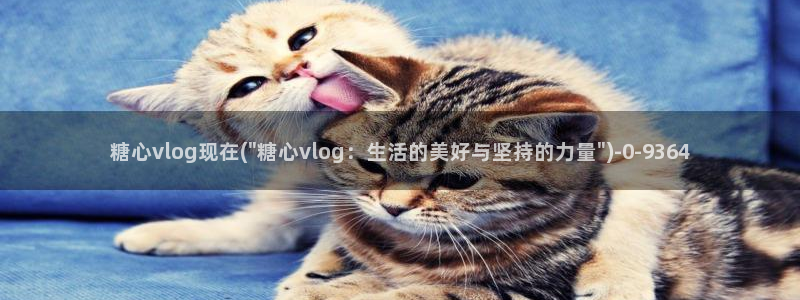 糖心在：糖心vlog现在(\