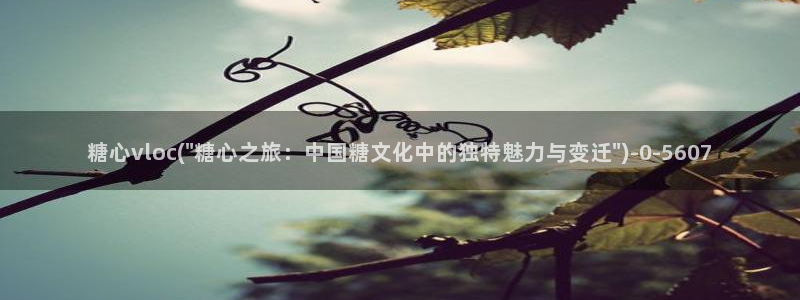 糖心旦：糖心vloc(\